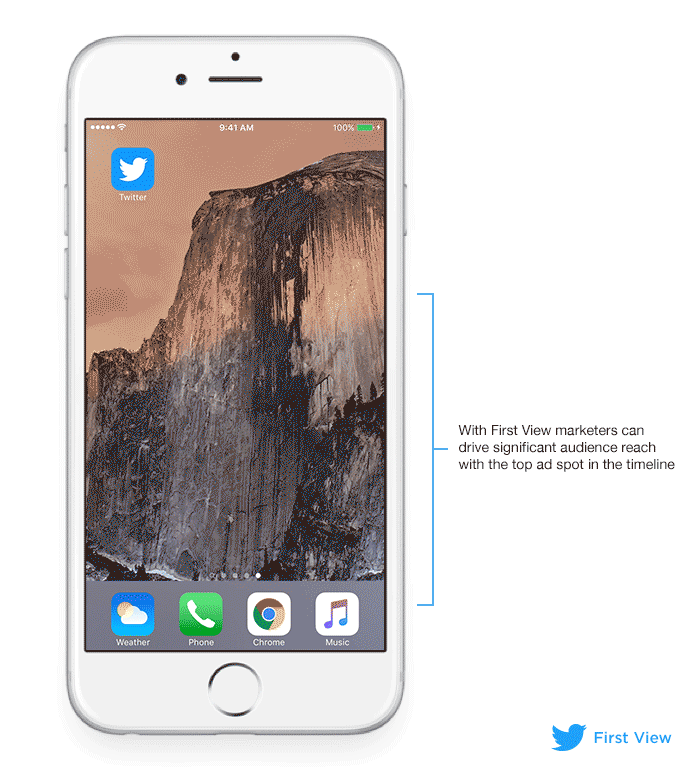 Twitter-First-View-GIF(1)