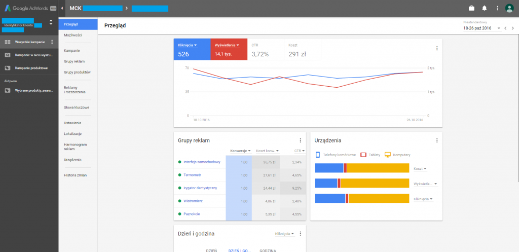 Raport Google Adwords