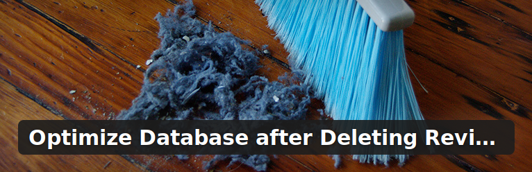Optimize Database after Deleting Revisions