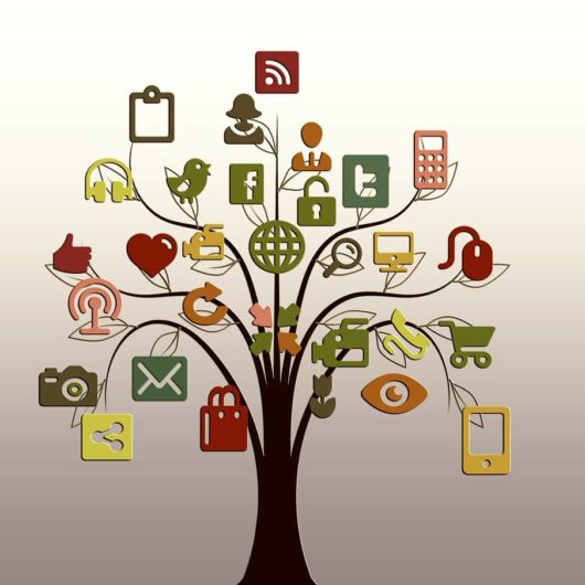 kanały social media