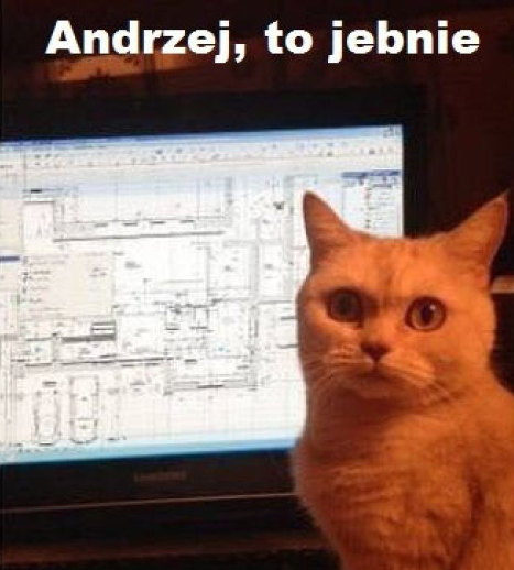 nowa domena, nowy cms, a pozycjonowanie